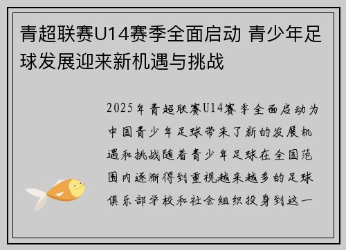 青超联赛U14赛季全面启动 青少年足球发展迎来新机遇与挑战
