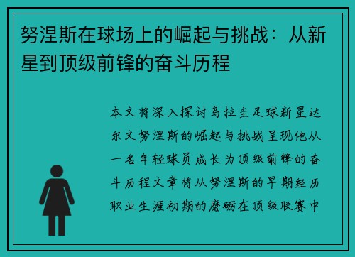 努涅斯在球场上的崛起与挑战：从新星到顶级前锋的奋斗历程