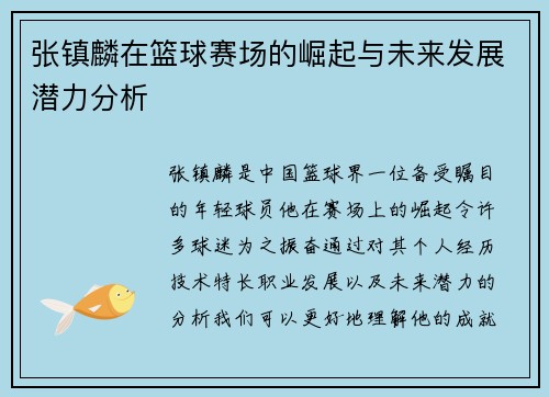 张镇麟在篮球赛场的崛起与未来发展潜力分析